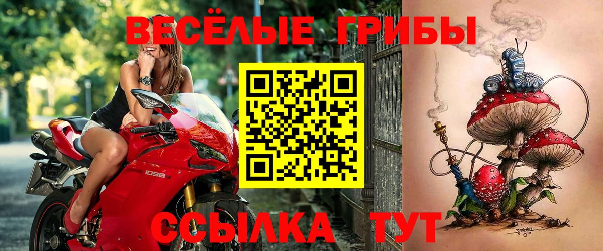 Галлюциногенные грибы GOLDEN TEACHER  Галлюциногенные грибы мухоморы  Маркс  Вход с VPN 